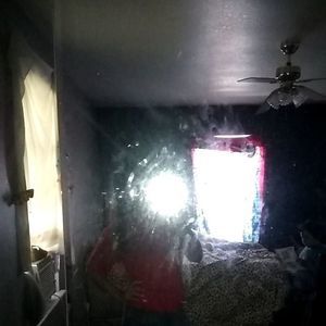 Meet your Posher, Adelina